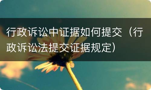行政诉讼中证据如何提交（行政诉讼法提交证据规定）