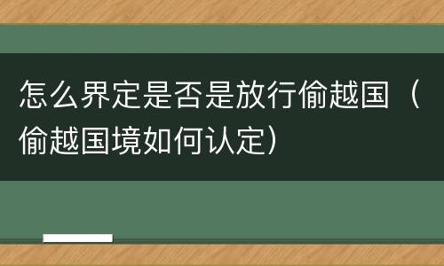 怎么界定是否是放行偷越国（偷越国境如何认定）