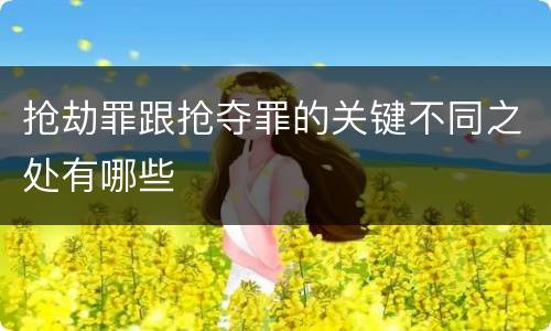 抢劫罪跟抢夺罪的关键不同之处有哪些