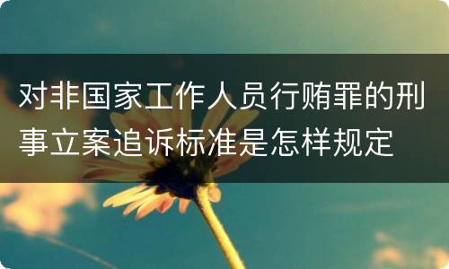 对非国家工作人员行贿罪的刑事立案追诉标准是怎样规定