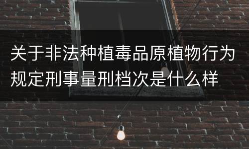 关于非法种植毒品原植物行为规定刑事量刑档次是什么样