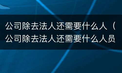 公司除去法人还需要什么人（公司除去法人还需要什么人员）