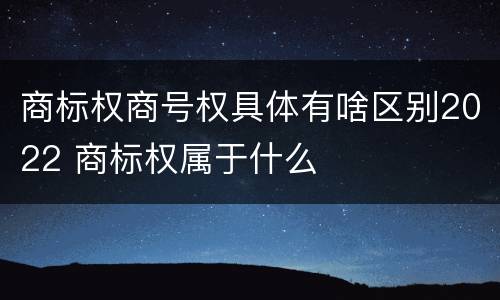 商标权商号权具体有啥区别2022 商标权属于什么