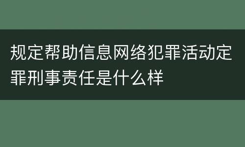 规定帮助信息网络犯罪活动定罪刑事责任是什么样