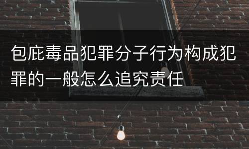 包庇毒品犯罪分子行为构成犯罪的一般怎么追究责任