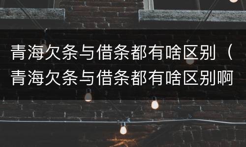 青海欠条与借条都有啥区别（青海欠条与借条都有啥区别啊）