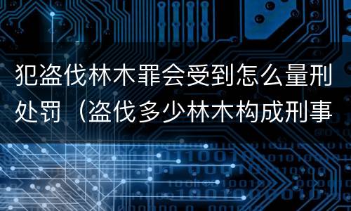 犯盗伐林木罪会受到怎么量刑处罚（盗伐多少林木构成刑事犯罪）