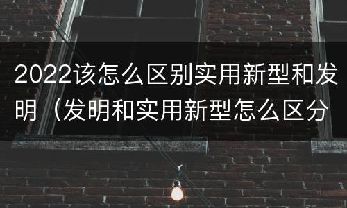 2022该怎么区别实用新型和发明（发明和实用新型怎么区分）