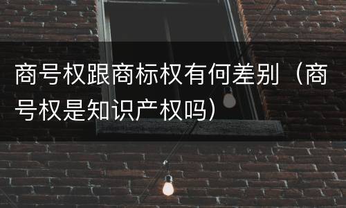 商号权跟商标权有何差别（商号权是知识产权吗）
