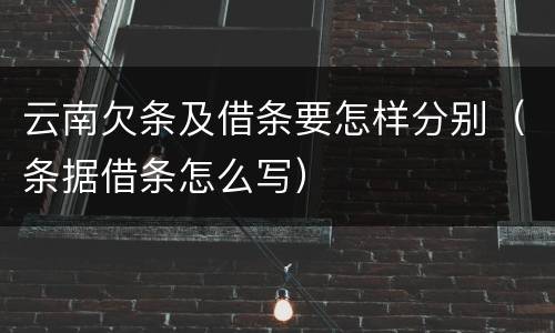 云南欠条及借条要怎样分别（条据借条怎么写）