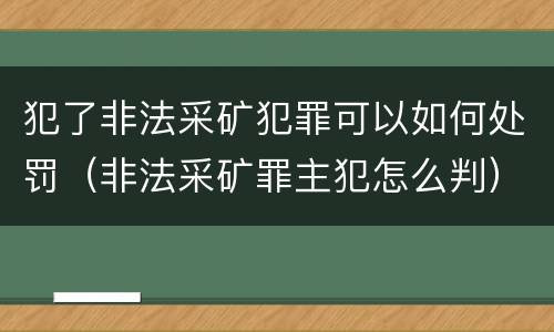 犯了非法采矿犯罪可以如何处罚（非法采矿罪主犯怎么判）