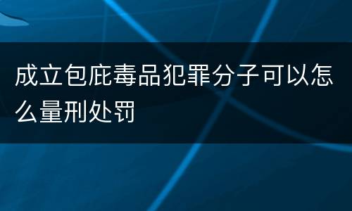 成立包庇毒品犯罪分子可以怎么量刑处罚