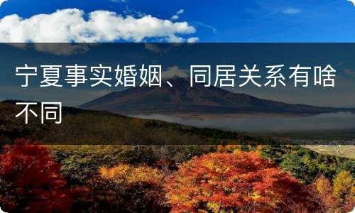 宁夏事实婚姻、同居关系有啥不同