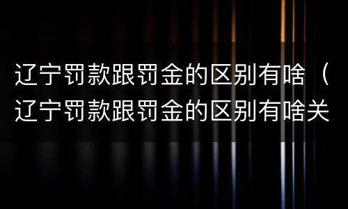 辽宁罚款跟罚金的区别有啥（辽宁罚款跟罚金的区别有啥关系）