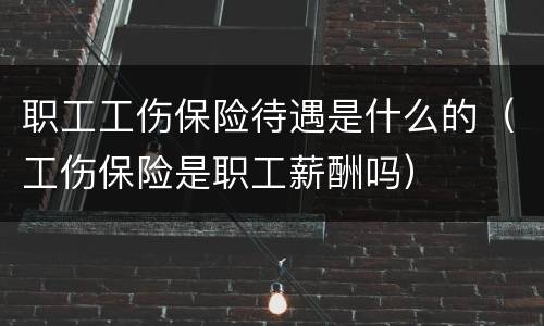 职工工伤保险待遇是什么的（工伤保险是职工薪酬吗）