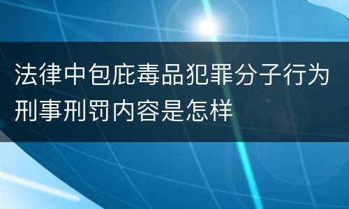 法律中包庇毒品犯罪分子行为刑事刑罚内容是怎样