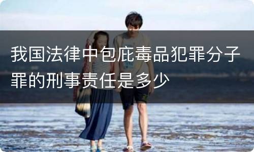 我国法律中包庇毒品犯罪分子罪的刑事责任是多少