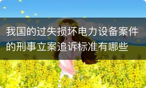 我国的过失损坏电力设备案件的刑事立案追诉标准有哪些