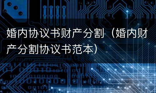婚内协议书财产分割（婚内财产分割协议书范本）