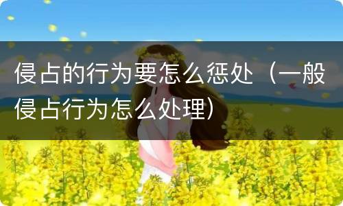 侵占的行为要怎么惩处（一般侵占行为怎么处理）