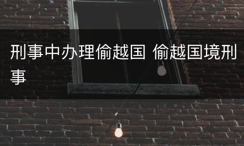 刑事中办理偷越国 偷越国境刑事