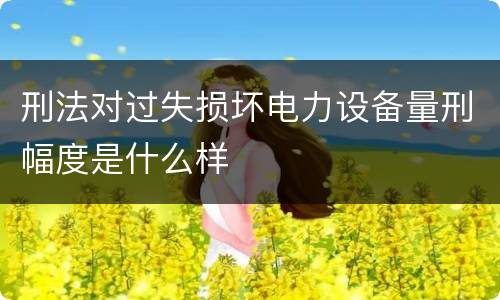 刑法对过失损坏电力设备量刑幅度是什么样