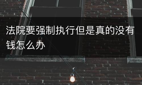 法院要强制执行但是真的没有钱怎么办