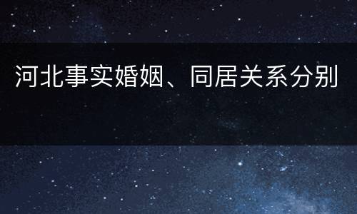 河北事实婚姻、同居关系分别