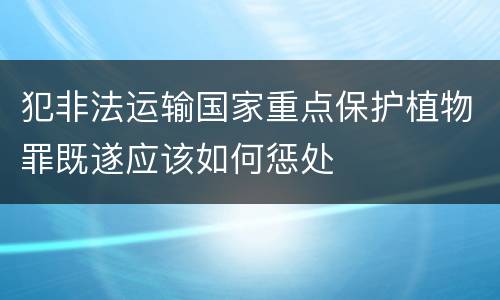 犯非法运输国家重点保护植物罪既遂应该如何惩处
