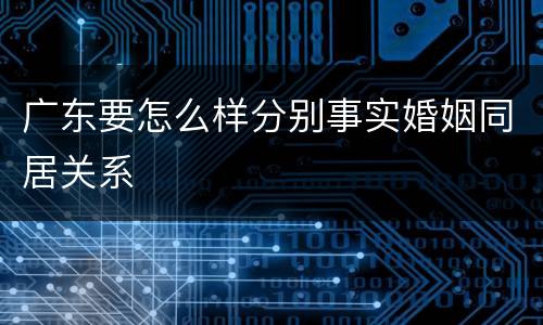 广东要怎么样分别事实婚姻同居关系
