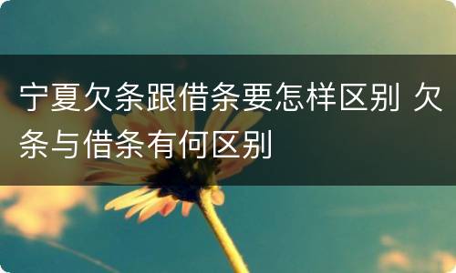 宁夏欠条跟借条要怎样区别 欠条与借条有何区别