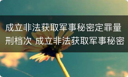 成立非法获取军事秘密定罪量刑档次 成立非法获取军事秘密定罪量刑档次的标准