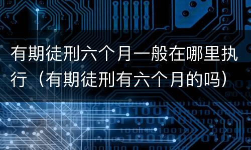 有期徒刑六个月一般在哪里执行（有期徒刑有六个月的吗）