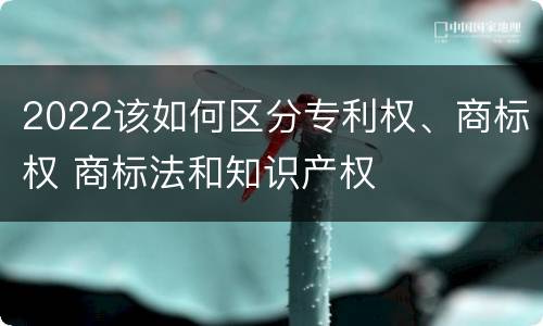2022该如何区分专利权、商标权 商标法和知识产权