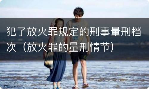 犯了放火罪规定的刑事量刑档次（放火罪的量刑情节）