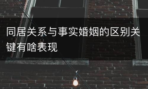 同居关系与事实婚姻的区别关键有啥表现