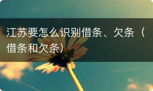 江苏要怎么识别借条、欠条（借条和欠条）
