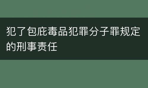 犯了包庇毒品犯罪分子罪规定的刑事责任