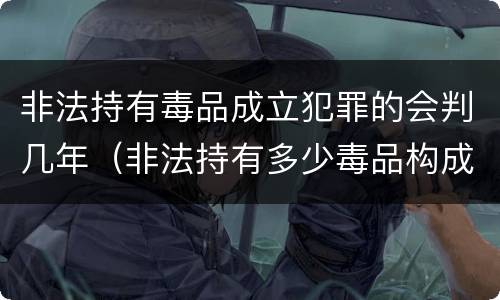 非法持有毒品成立犯罪的会判几年（非法持有多少毒品构成犯罪）