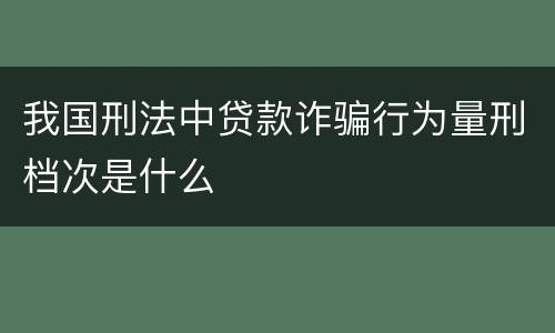 我国刑法中贷款诈骗行为量刑档次是什么