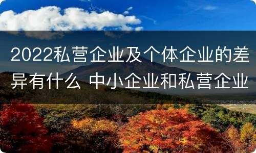 2022私营企业及个体企业的差异有什么 中小企业和私营企业区别