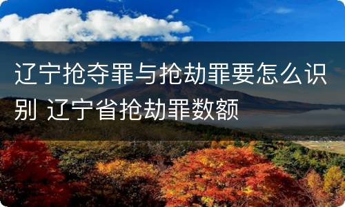 辽宁抢夺罪与抢劫罪要怎么识别 辽宁省抢劫罪数额