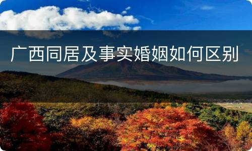 广西同居及事实婚姻如何区别