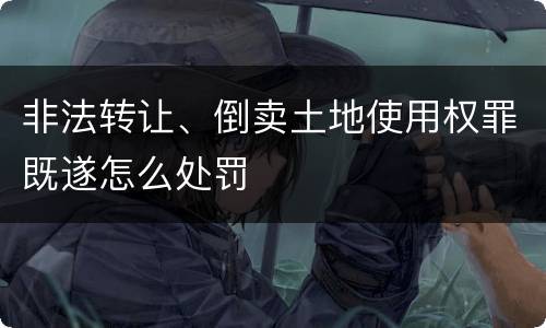 非法转让、倒卖土地使用权罪既遂怎么处罚