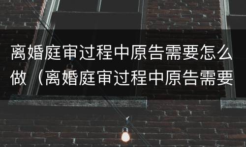 离婚庭审过程中原告需要怎么做（离婚庭审过程中原告需要怎么做准备）
