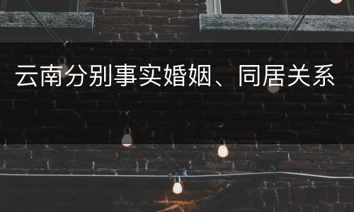 云南分别事实婚姻、同居关系
