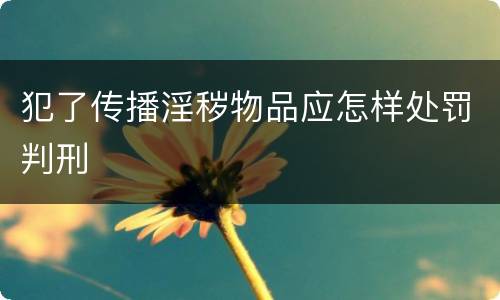 犯了传播淫秽物品应怎样处罚判刑