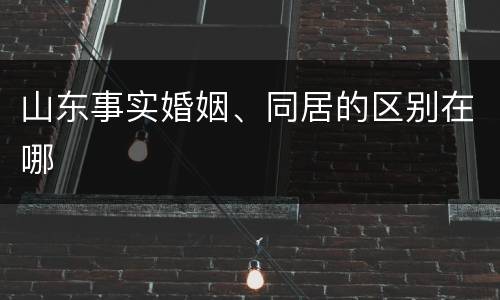 山东事实婚姻、同居的区别在哪