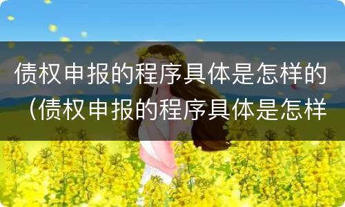 债权申报的程序具体是怎样的（债权申报的程序具体是怎样的形式）
