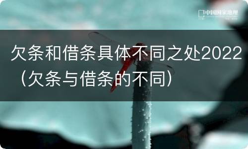 欠条和借条具体不同之处2022（欠条与借条的不同）
